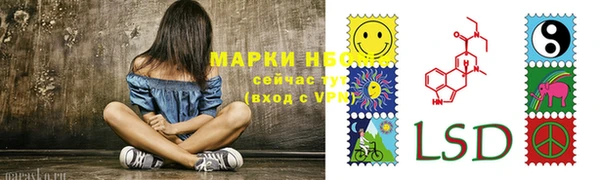 шишки Гусиноозёрск