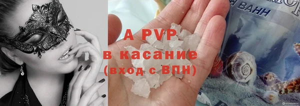стаф Гусев