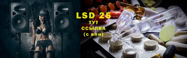 стаф Гусев