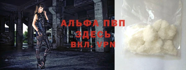 стаф Гусев