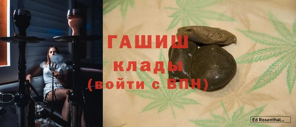 шишки Гусиноозёрск