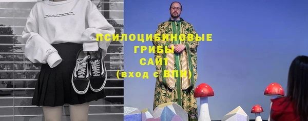 ешки Белая Холуница