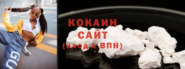 шишки Гусиноозёрск
