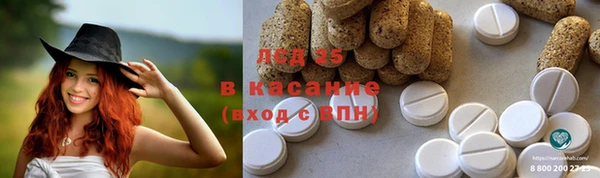 стаф Гусев