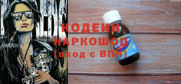 шишки Гусиноозёрск