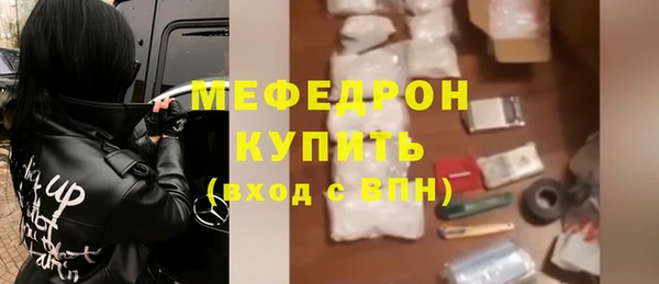 шишки Гусиноозёрск