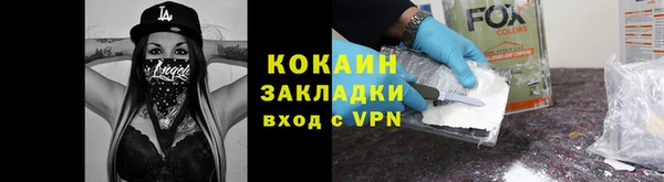 шишки Гусиноозёрск