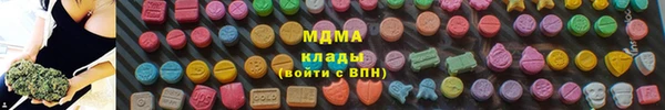 шишки Гусиноозёрск