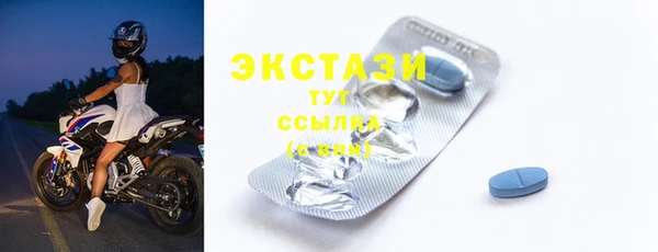 шишки Гусиноозёрск