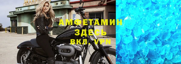 шишки Гусиноозёрск