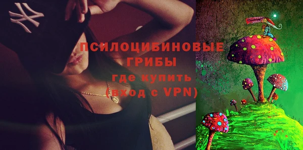стаф Гусев