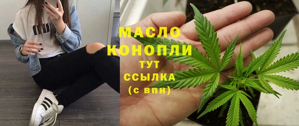 шишки Гусиноозёрск