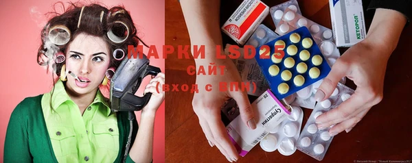 шишки Гусиноозёрск