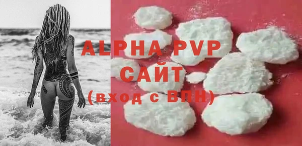 стаф Гусев